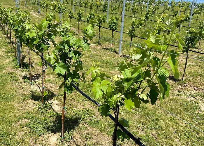 Rosengarten Lägenhet *