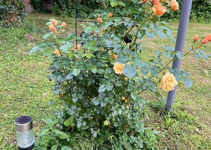 Lägenhet Rosengarten